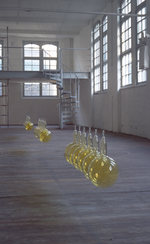 Photo of art installation