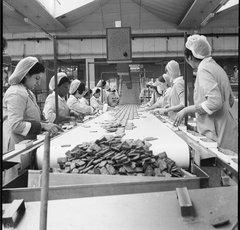 Photo of United Biscuits Ltd factory